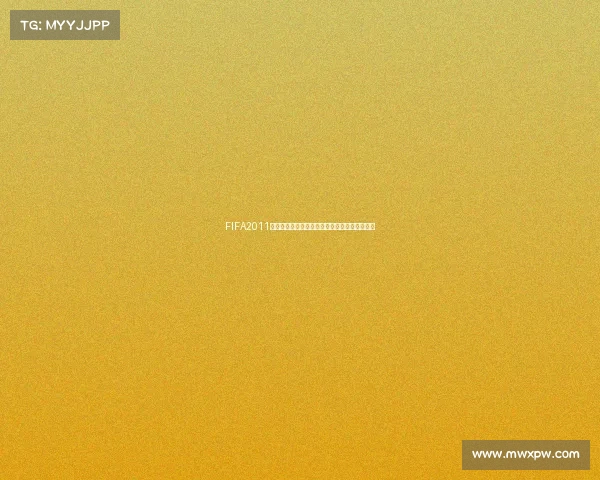 FIFA2011是不是世界杯解析足球游戏真实世界杯区别介绍